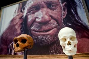 Οδοντιατρική από τους Νεάντερταλ πριν 130.000 χρόνια