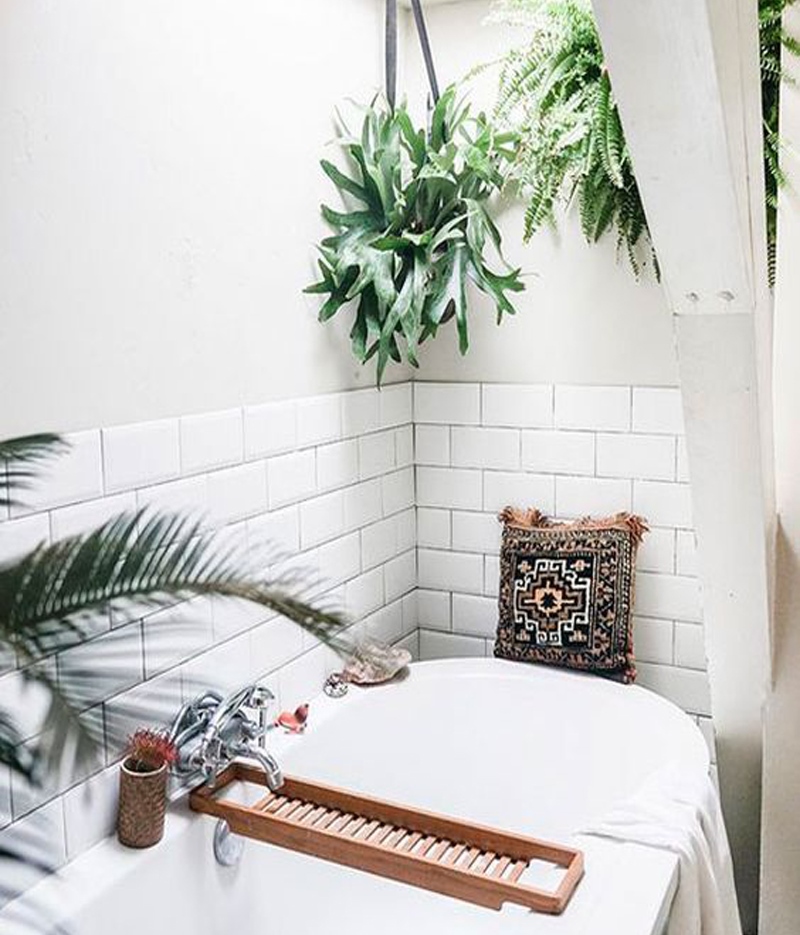blackband-design-shower-plants-11-1