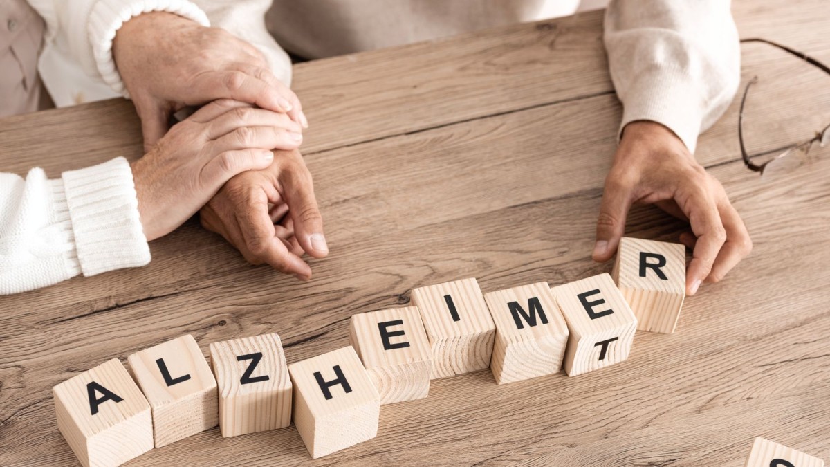 Ελληνικό Σχέδιο Δράσης για την Άνοια και Alzheimer – Παρουσίαση από τον Χρυσοχοΐδη