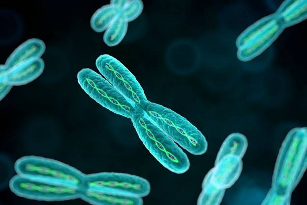 Πώς ο προγεννητικός έλεγχος μας οδηγεί στη διάγνωση γενετικών νοσημάτων