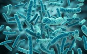 Βρετανία: Επικίνδυνο και δυνητικά θανατηφόρο βακτήριο εντοπίστηκε σε χοιρινό