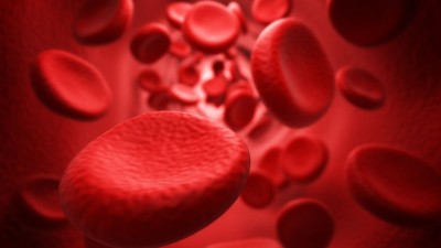 Θρομβοπενία: Τι είναι και πώς αντιμετωπίζεται