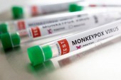 Ευλογιά των πιθήκων: Πάνω από 80 τα καταγεγραμμένα κρούσματα στη χώρα