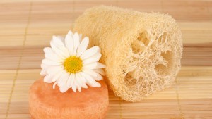 Τα σφουγγάρια loofah είναι γεμάτα βακτήρια - Πώς καθαρίζονται;