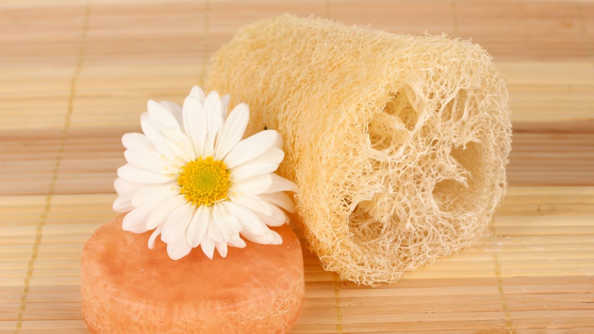 Τα σφουγγάρια loofah είναι γεμάτα βακτήρια - Πώς καθαρίζονται;
