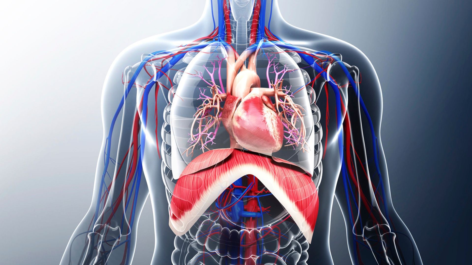 Τι είναι η ετεροταξία (Situs Inversus) και πώς αντιμετωπίζεται;