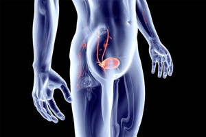 Νέα θεραπευτική επιλογή για τον μυοδιηθητικό καρκίνο της ουροδόχου κύστης