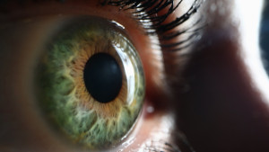 Νέες προοπτικές στην αντιμετώπιση της εκφύλισης ωχράς κηλίδας με ειδικό ενδοφακο