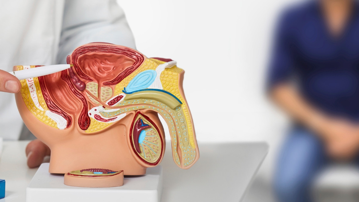 Καλοήθης Υπερπλασία Προστάτη: Η Laser Προστατεκτομή αλλάζει τα δεδομένα